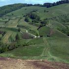 Am Badberg (Kaiserstuhl)