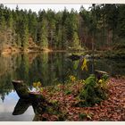 Am Badersee