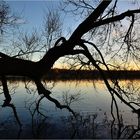 Am Badesee in Traun