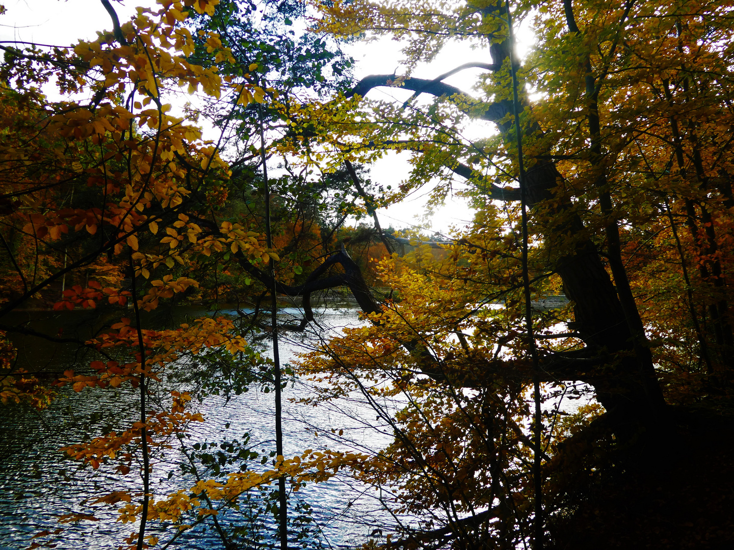 Am Bärensee