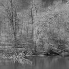 AM BÄRENSEE