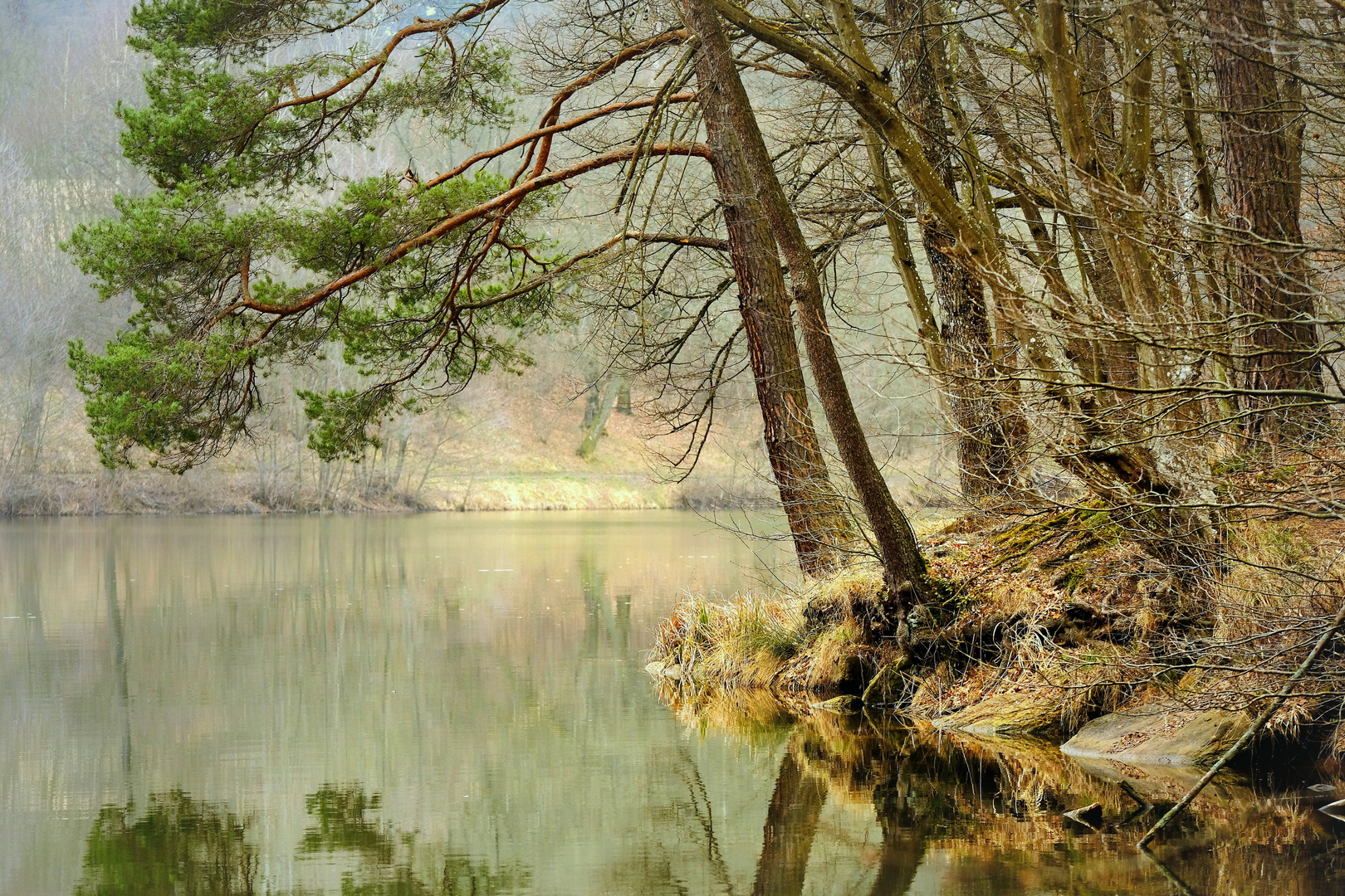 am Bärensee bei Stuttgart