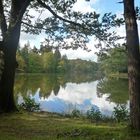 Am Bärensee, Stuttgart