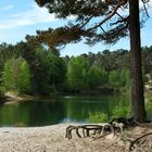 Am Baggersee