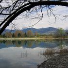 "Am Baggersee"