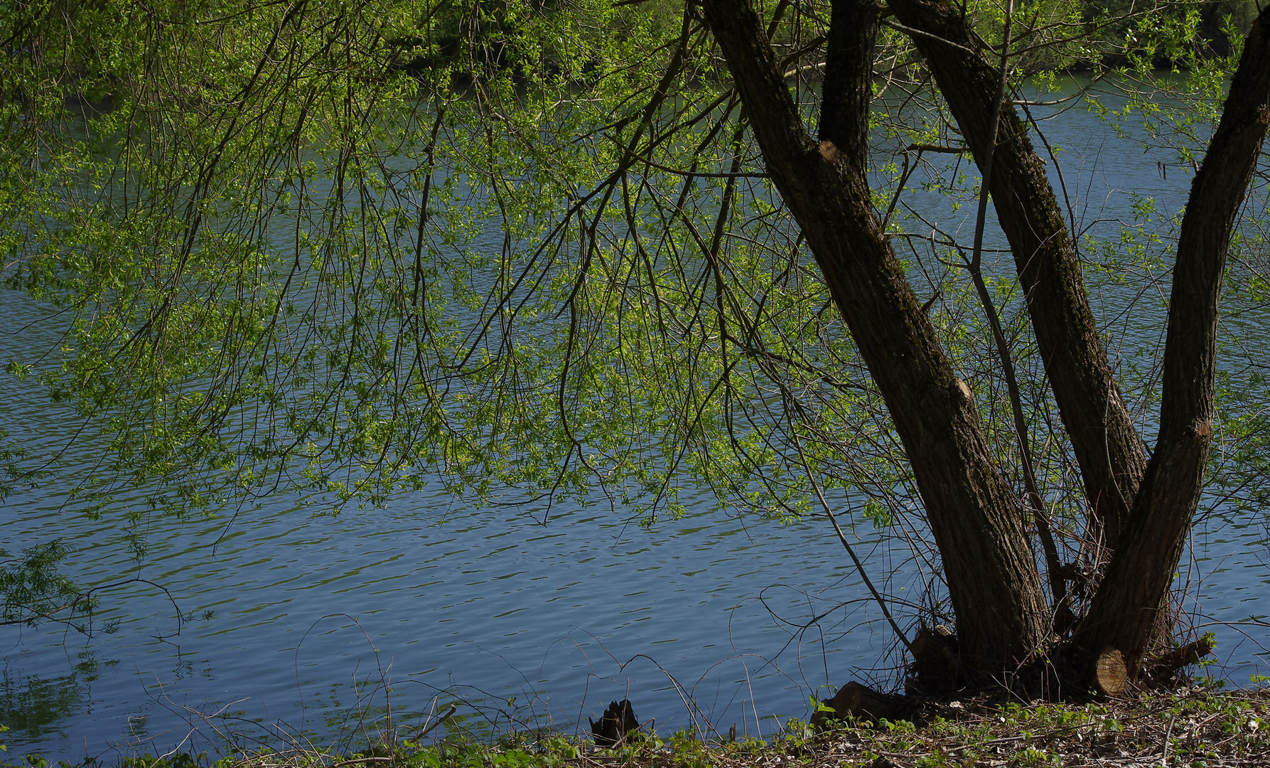 am Baggersee