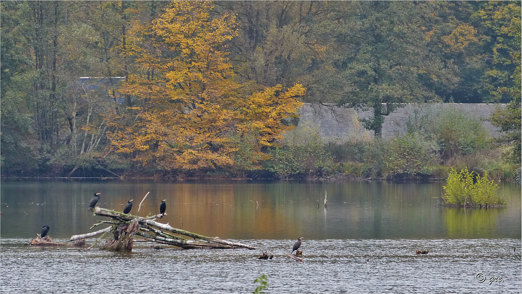 Am Baggersee