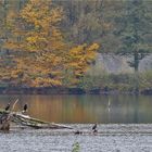 Am Baggersee