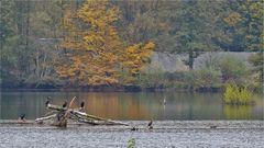 Am Baggersee