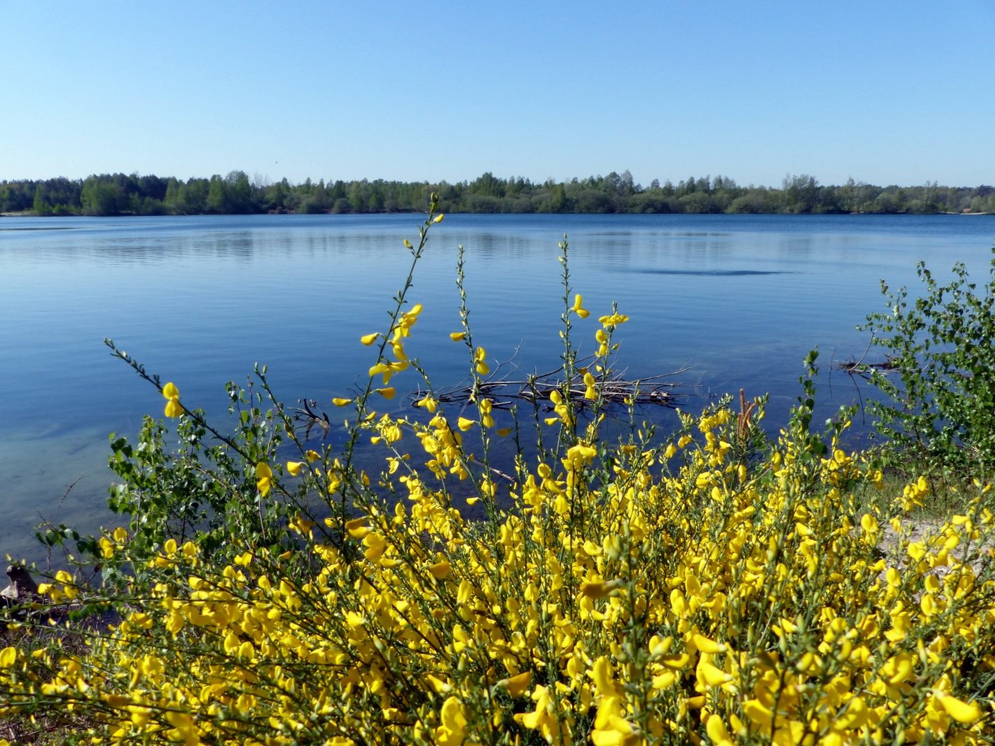 Am Baggersee