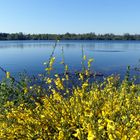 Am Baggersee