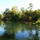 am Baggersee