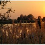 Am Baggersee