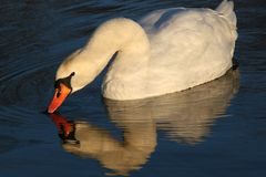 Am Baggersee