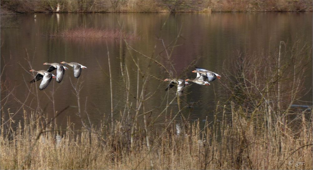 am Baggersee **