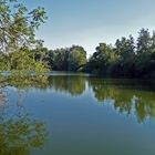 "Am Baggersee bei Erbach 4"