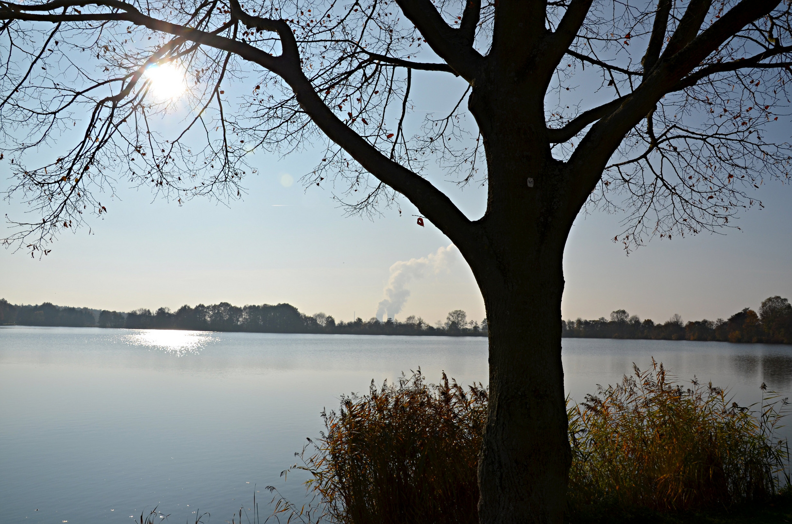 Am Baggersee