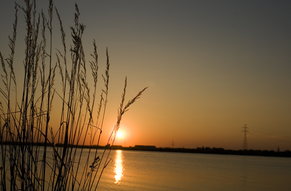 Am Baggersee