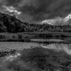 am Baggersee im Sommer