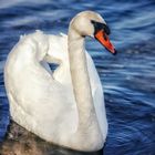 Am Baggersee Ingolstadt