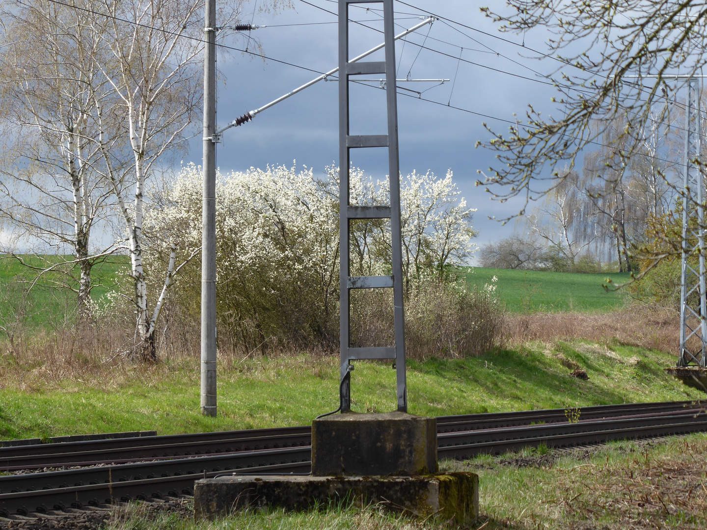 Am Bahndamm im Frühling