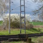 Am Bahndamm im Frühling