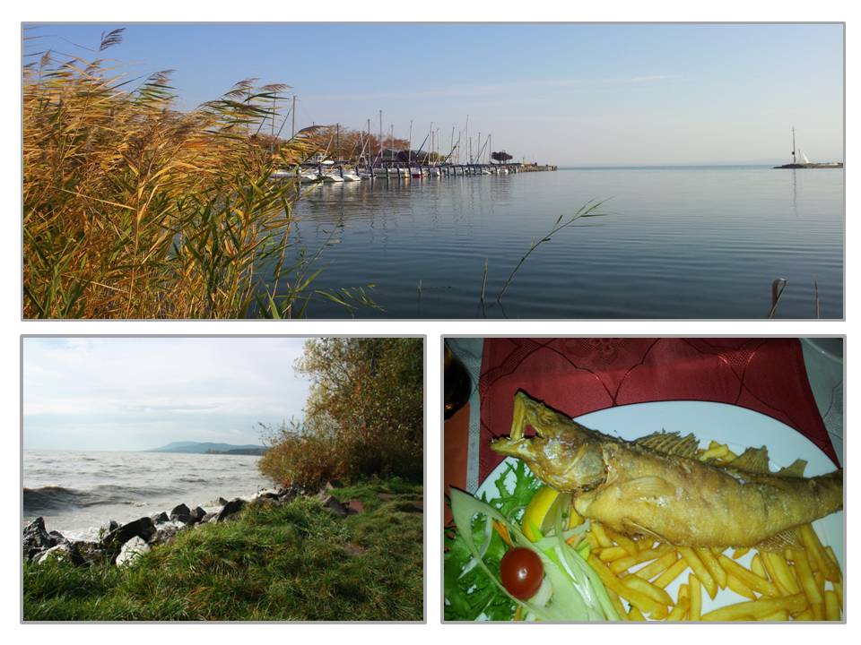 ~ Am Balaton ~