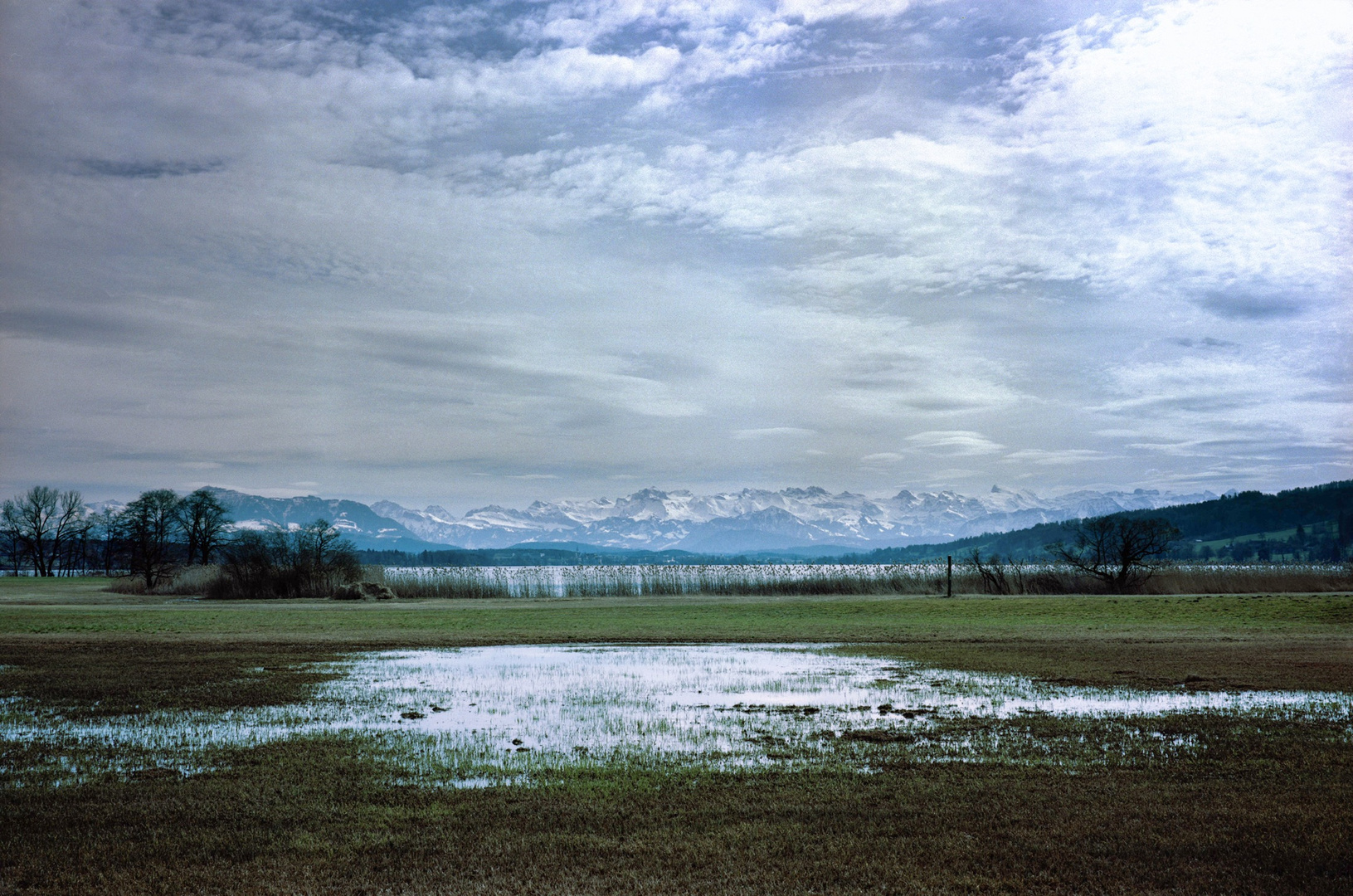 Am Baldeggersee