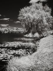 Am Baldeneysee