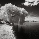 Am Baldeneysee