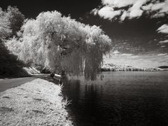 Am Baldeneysee