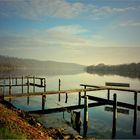 am Baldeneysee Essen 29.11.2014 (2)