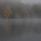 Am Baldeneysee früh am Morgen.