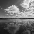 Am Balmer See auf Usedom