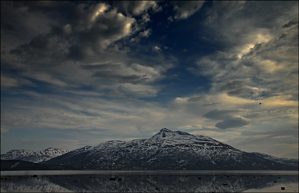 am Balsfjord (4)