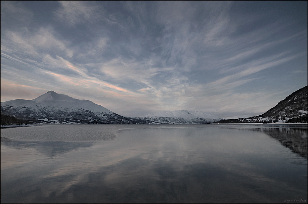 am Balsfjord (5)