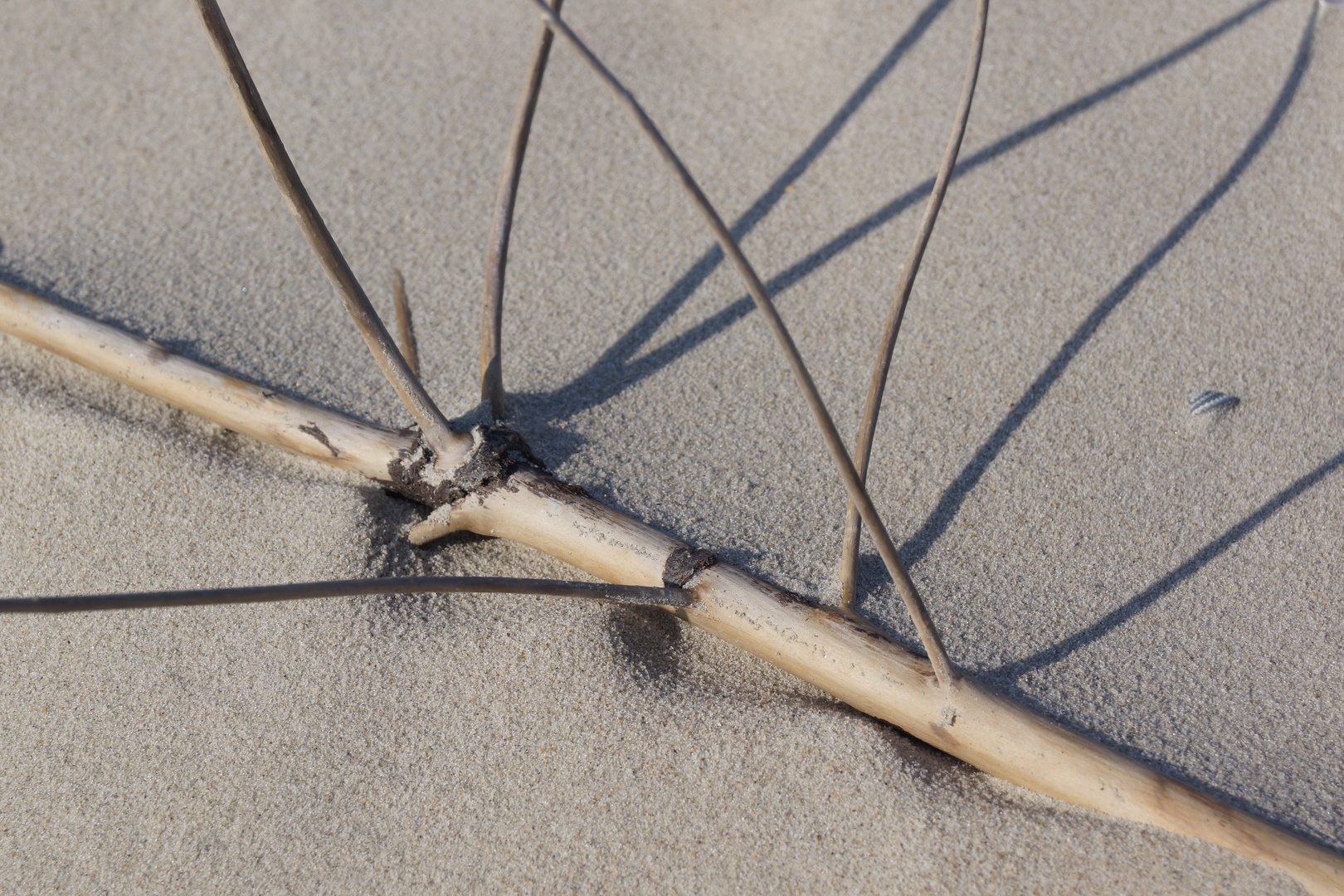 am Baltrumer Strand