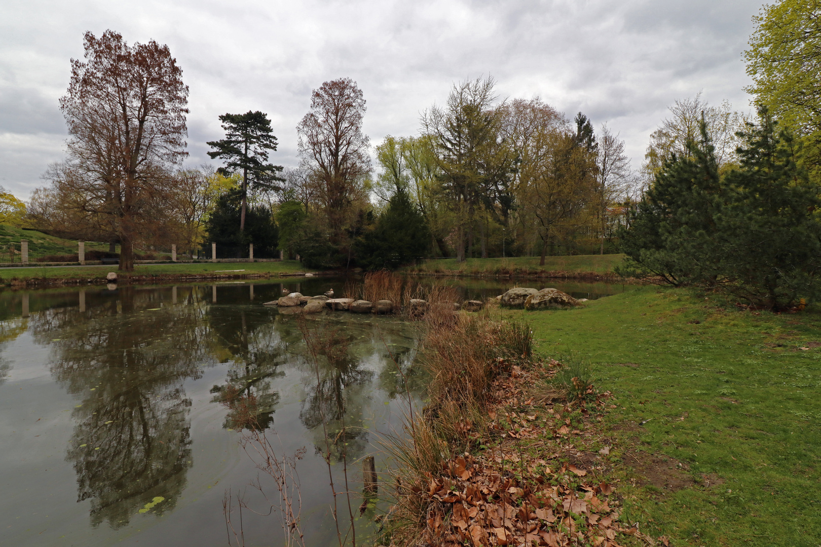 Am Bammelsburger Teich