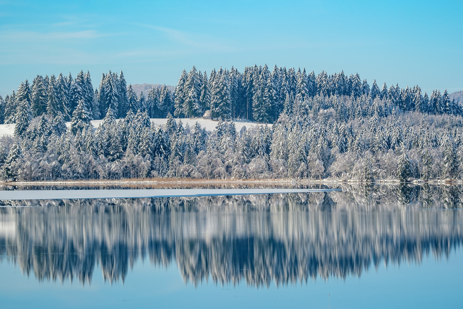 Am Bannwaldsee