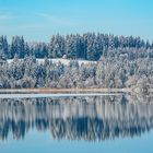 Am Bannwaldsee