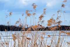 Am Barleber See