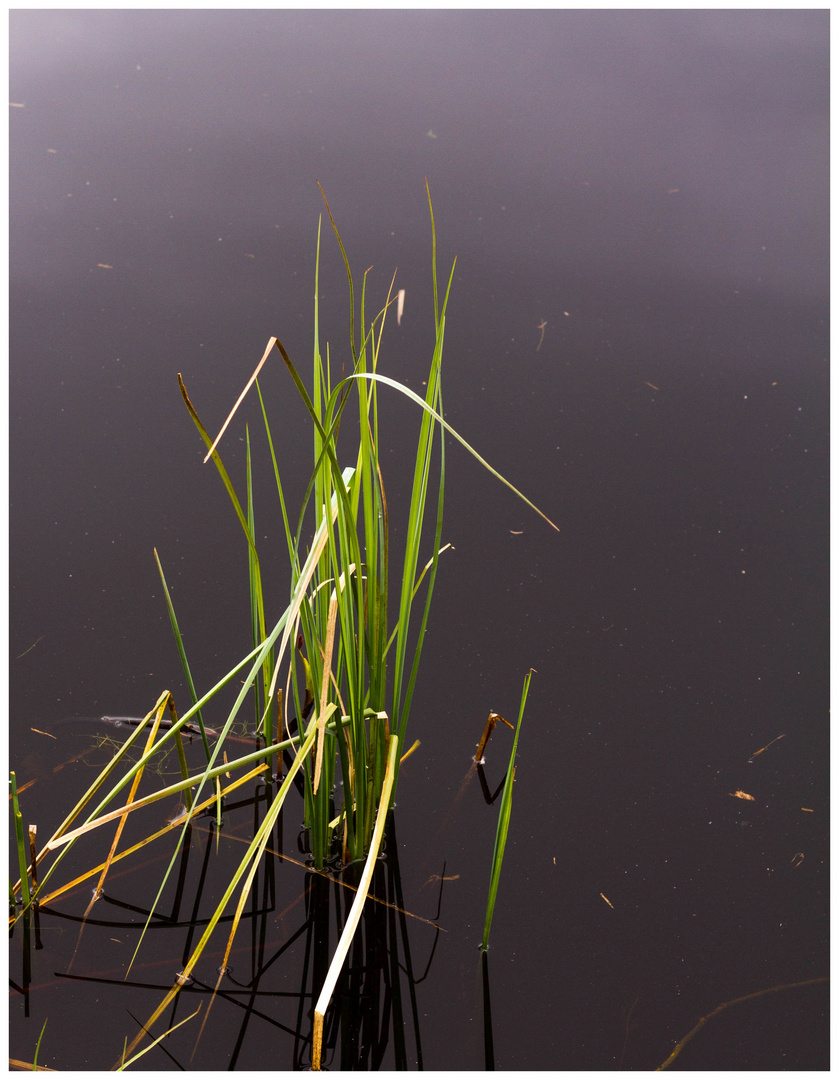 am Basaltsee