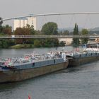 am Basler Rheinhafen