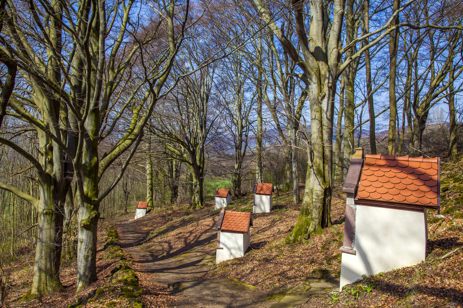 Am Battenstein