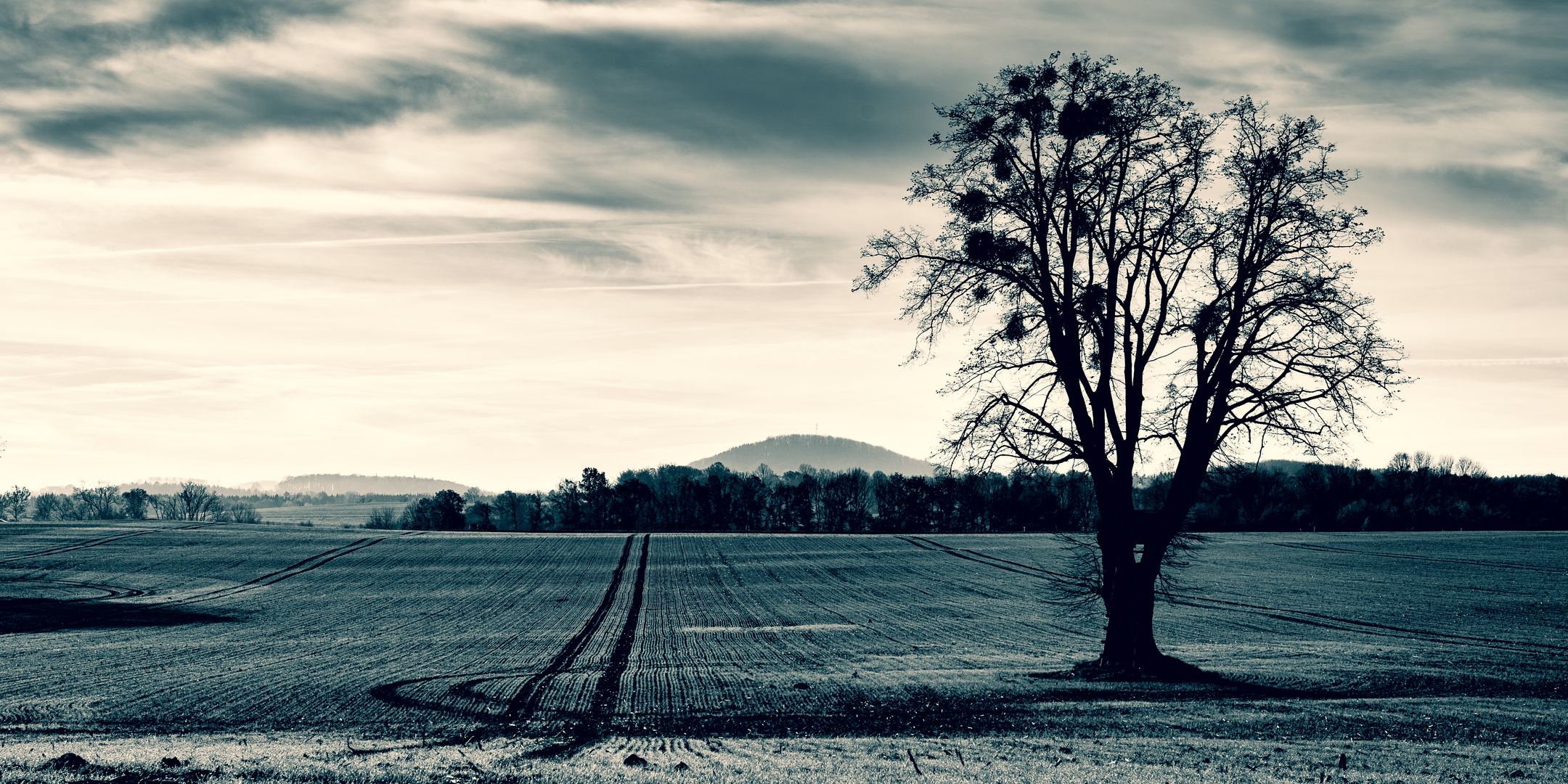 Am Baum vorbei in Richtung Luchberg (576m) geguckt SW