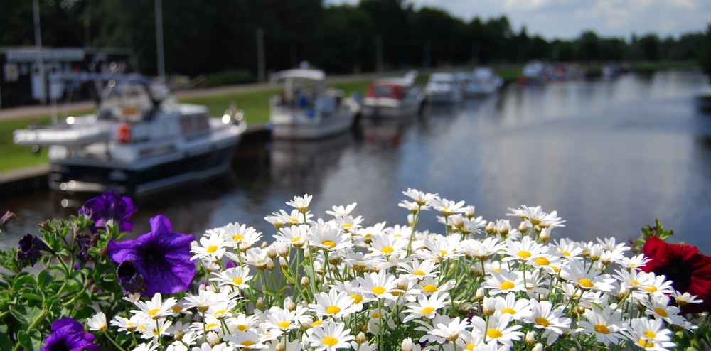 Am Bederkesaer See