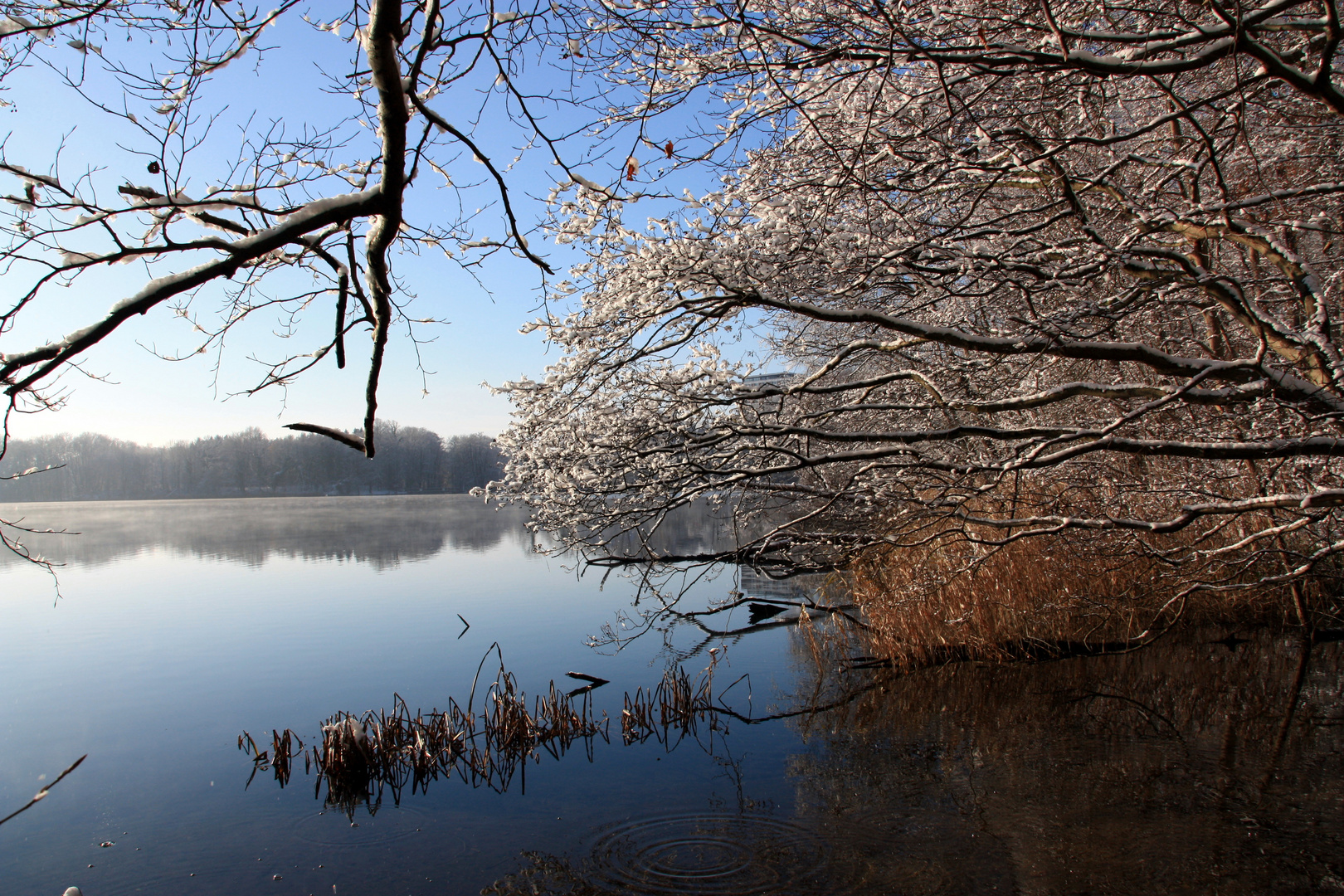 Am Behler See