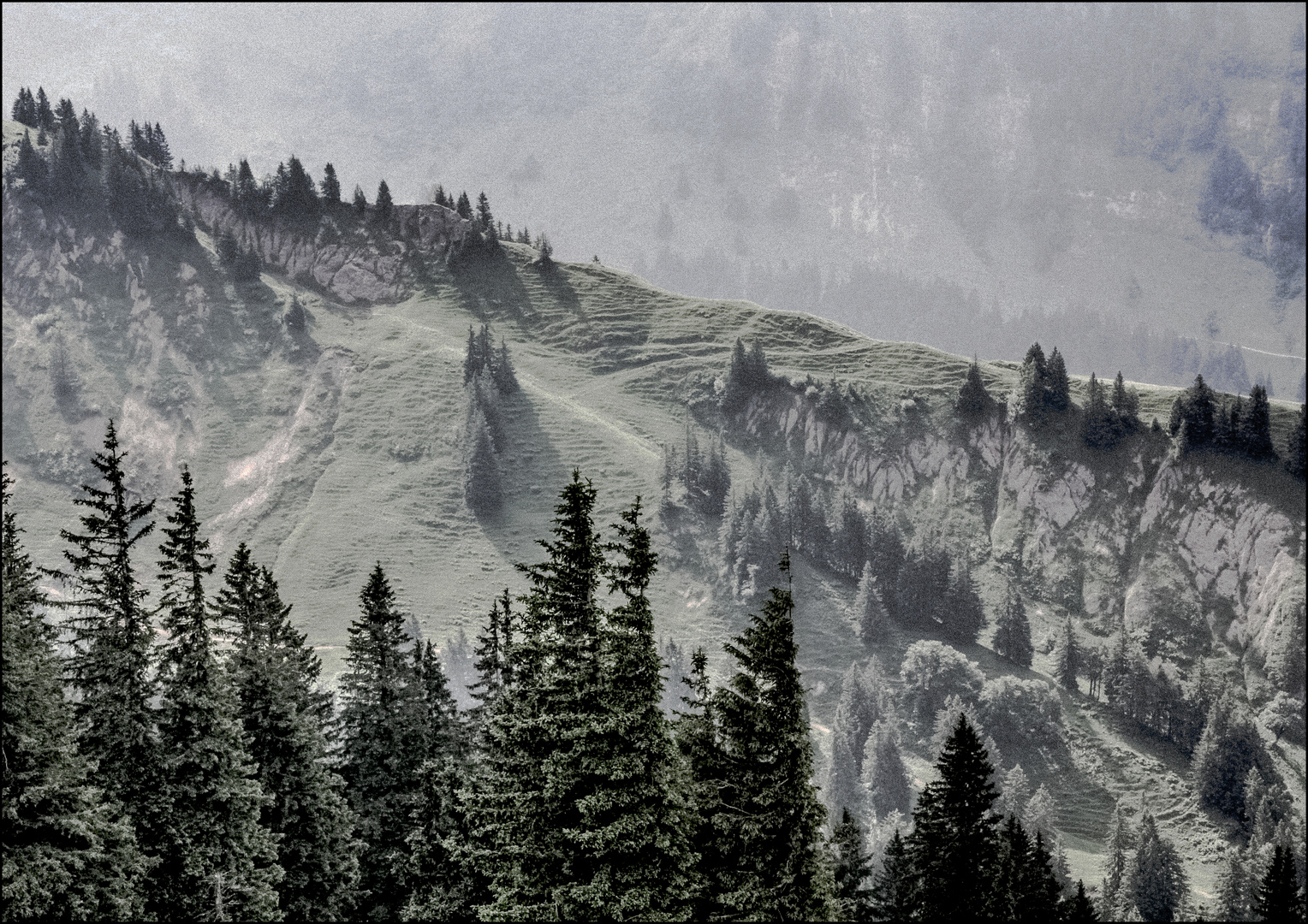 am Berg... irgendwo im Bayrischen Wald (2)