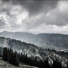 am Berg... irgendwo im Bayrischen Wald