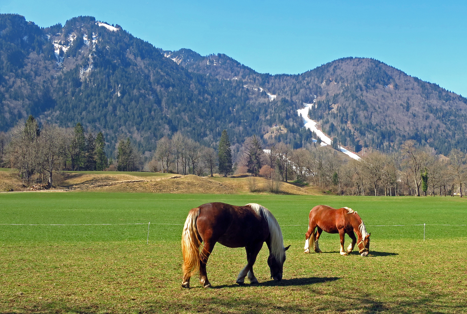 Am Berg noch Schnee, im Tal frisches Grün